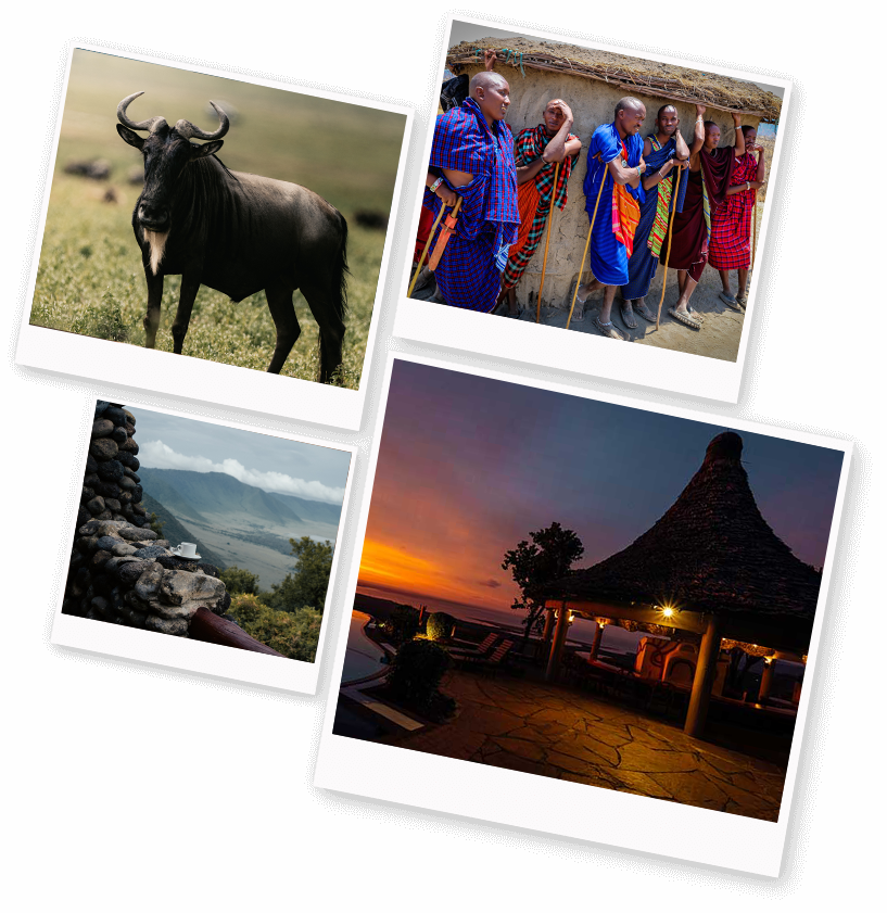 collage images