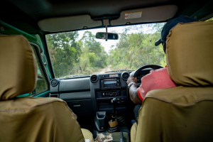 Experienced safari guide