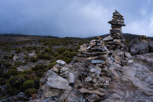Tanzania trekking tours
