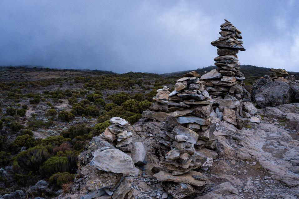 You are currently viewing Why Tanzania Trekking Tours Should Be On Your Bucket List