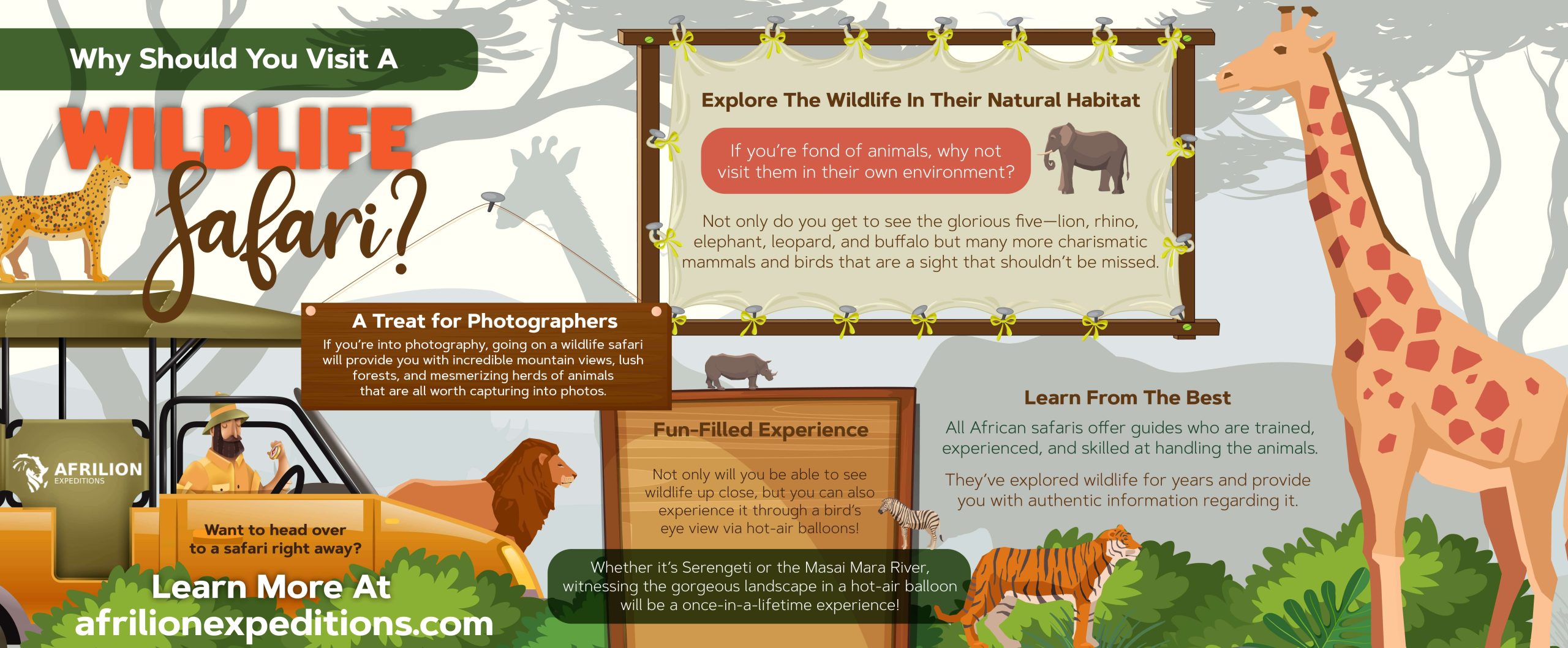 Why Should You Visit A Wildlife Safari?
