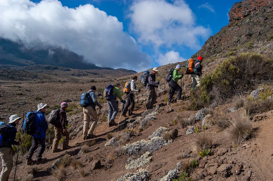 Hikers during a Tanzania trekking tour.